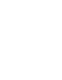 Authorization-optimization-ico